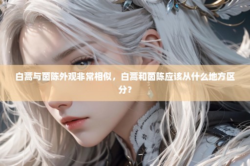 白蒿与茵陈外观非常相似，白蒿和茵陈应该从什么地方区分？