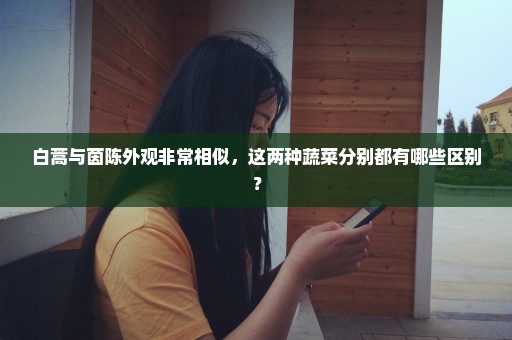 白蒿与茵陈外观非常相似，这两种蔬菜分别都有哪些区别？