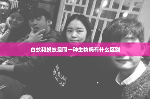 白蚁和蚂蚁是同一种生物吗有什么区别