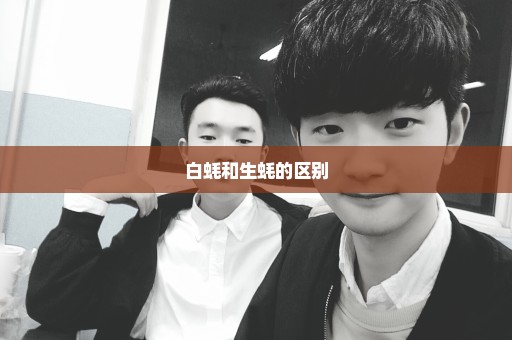 白蚝和生蚝的区别