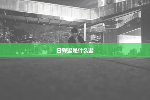白蜂蜜是什么蜜