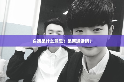 白话是什么意思？是普通话吗？