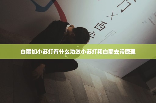 白醋加小苏打有什么功效小苏打和白醋去污原理