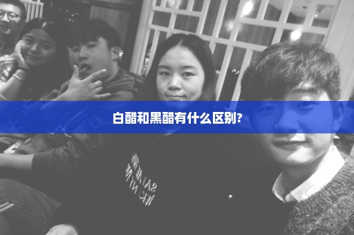 白醋和黑醋有什么区别?