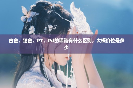 白金、铂金、PT、Pd的项链有什么区别，大概价位是多少