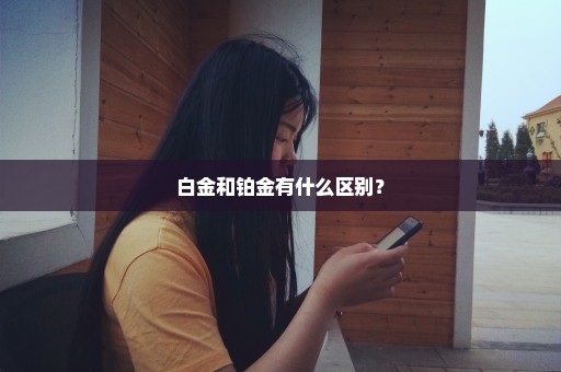 白金和铂金有什么区别？