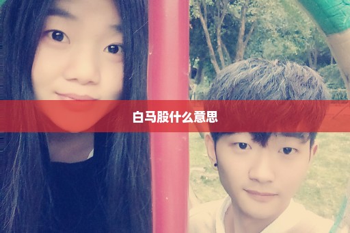 白马股什么意思