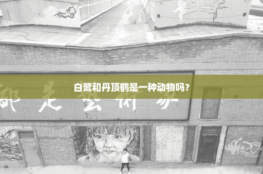 白鹭和丹顶鹤是一种动物吗？