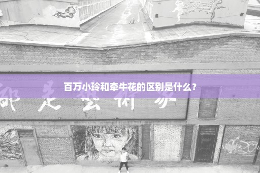 百万小玲和牵牛花的区别是什么？