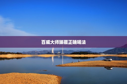 百威大师臻藏正确喝法