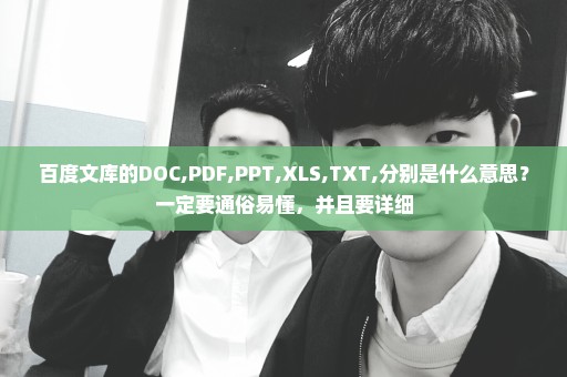 百度文库的DOC,PDF,PPT,XLS,TXT,分别是什么意思？一定要通俗易懂，并且要详细