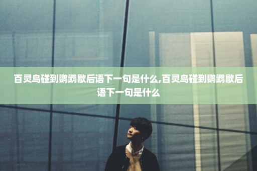 百灵鸟碰到鹦鹉歇后语下一句是什么,百灵鸟碰到鹦鹉歇后语下一句是什么