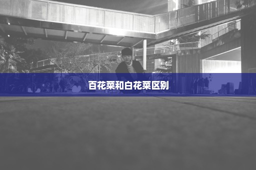 百花菜和白花菜区别