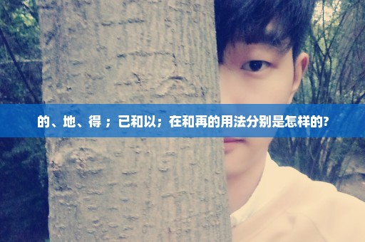 的、地、得 ；已和以；在和再的用法分别是怎样的?