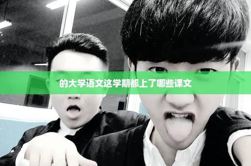 的大学语文这学期都上了哪些课文