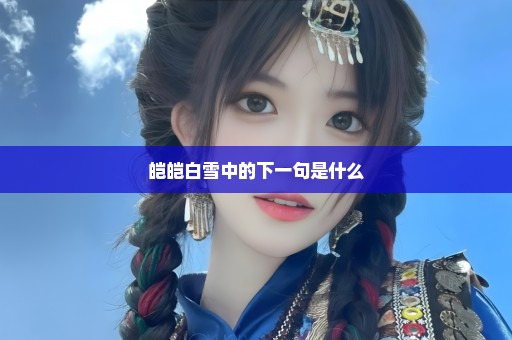 皑皑白雪中的下一句是什么