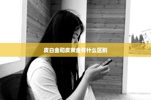皮白金和皮黄金有什么区别