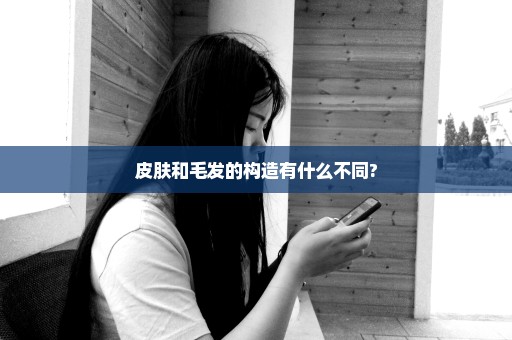 皮肤和毛发的构造有什么不同?