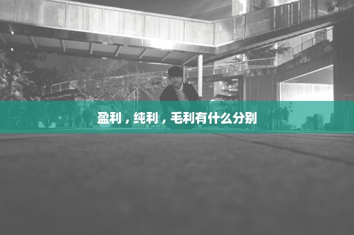 盈利 , 纯利 , 毛利有什么分别
