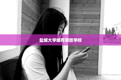 盐城大学城有哪些学校