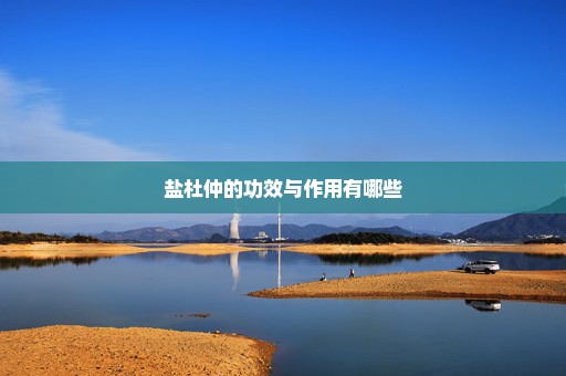 盐杜仲的功效与作用有哪些