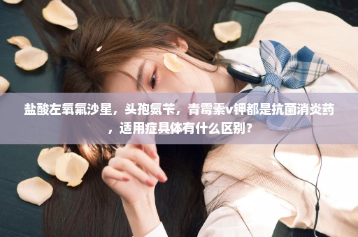 盐酸左氧氟沙星，头孢氨苄，青霉素v钾都是抗菌消炎药，适用症具体有什么区别？