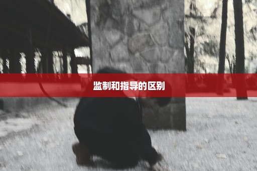 监制和指导的区别