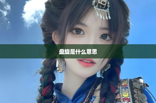 盘旋是什么意思