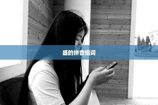 盛的拼音组词