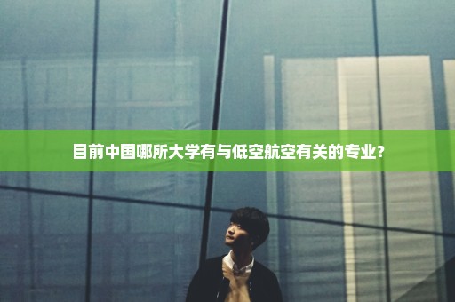 目前中国哪所大学有与低空航空有关的专业？