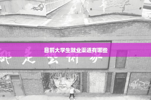 目前大学生就业渠道有哪些