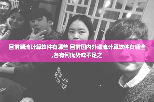 目前潮流计算软件有哪些 目前国内外潮流计算软件有哪些,各有何优势或不足之