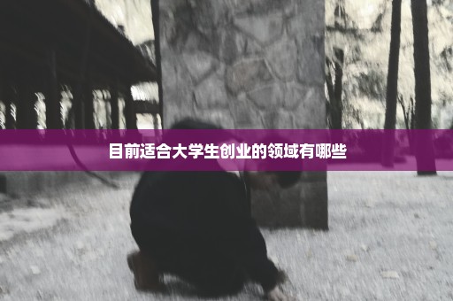 目前适合大学生创业的领域有哪些