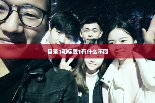 目录1和标题1有什么不同