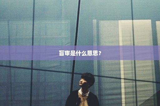 盲审是什么意思？