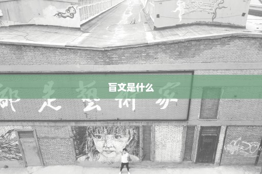 盲文是什么