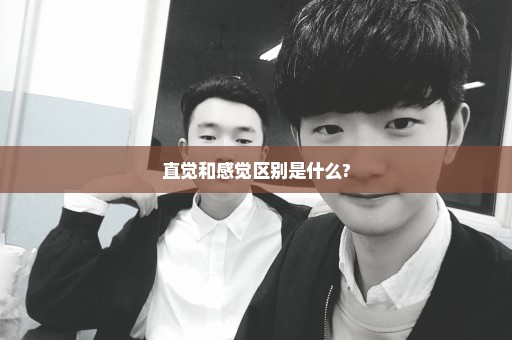 直觉和感觉区别是什么?