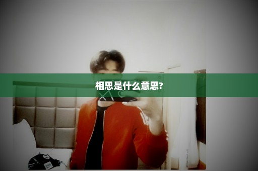 相思是什么意思?