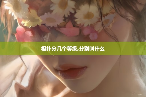 相扑分几个等级,分别叫什么