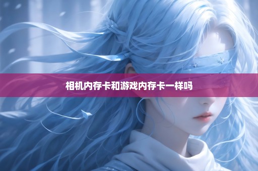 相机内存卡和游戏内存卡一样吗