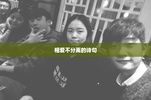 相爱不分离的诗句