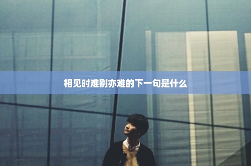 相见时难别亦难的下一句是什么