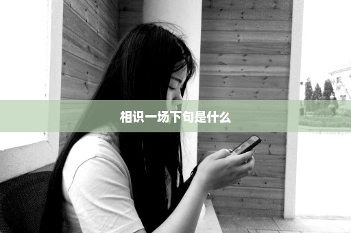 相识一场下句是什么