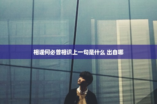 相逢何必曾相识上一句是什么 出自哪