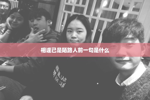 相逢已是陌路人前一句是什么
