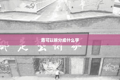 盾可以拆分成什么字