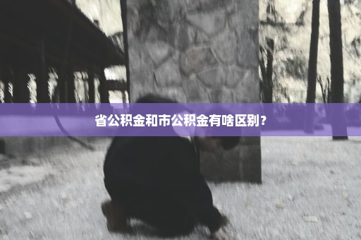 省公积金和市公积金有啥区别？