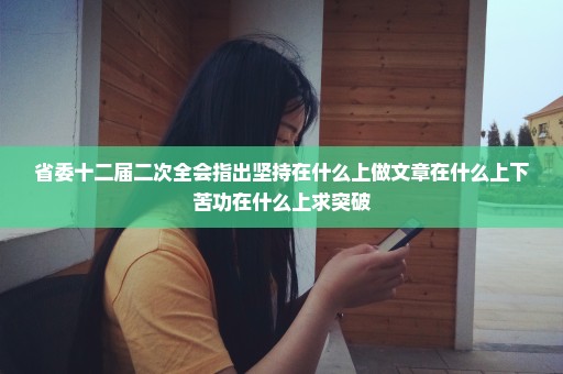 省委十二届二次全会指出坚持在什么上做文章在什么上下苦功在什么上求突破