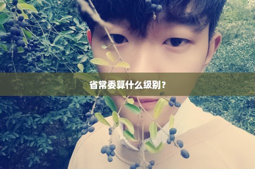 省常委算什么级别？