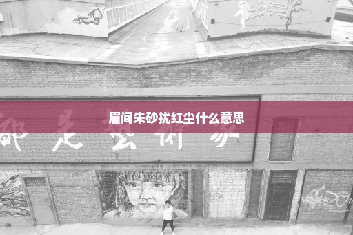 眉间朱砂扰红尘什么意思